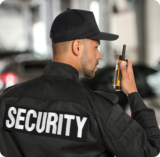 Private Security