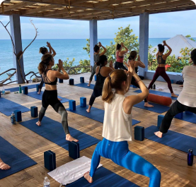 Wellness & Fitness